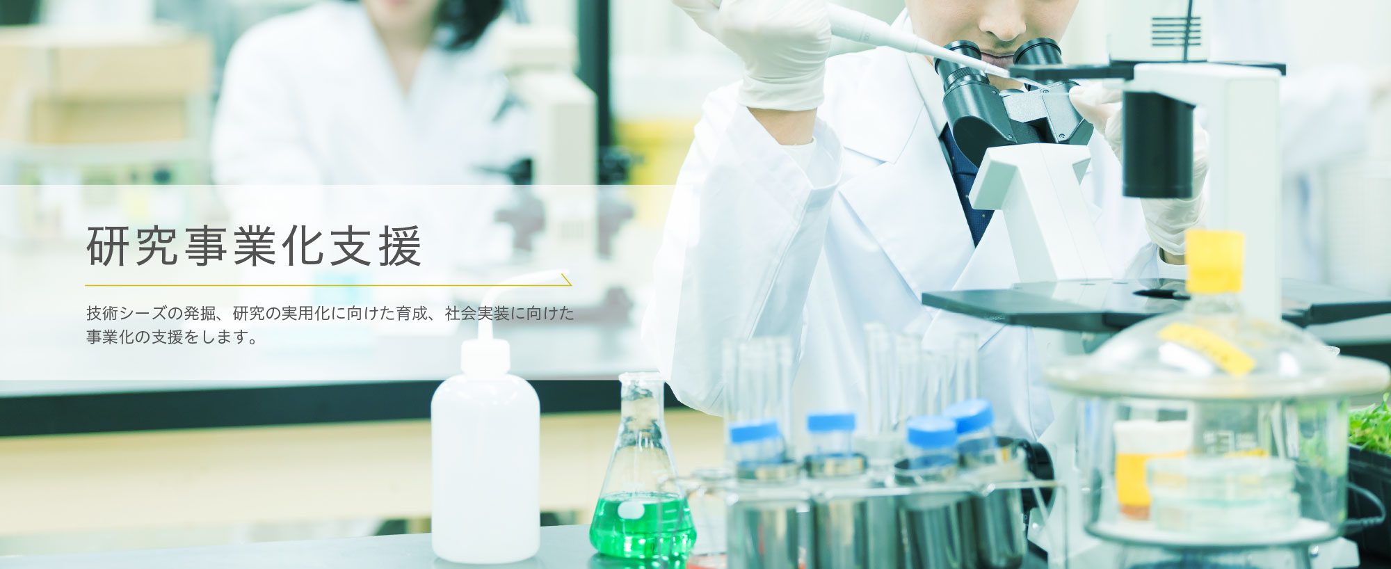 研究事業化支援